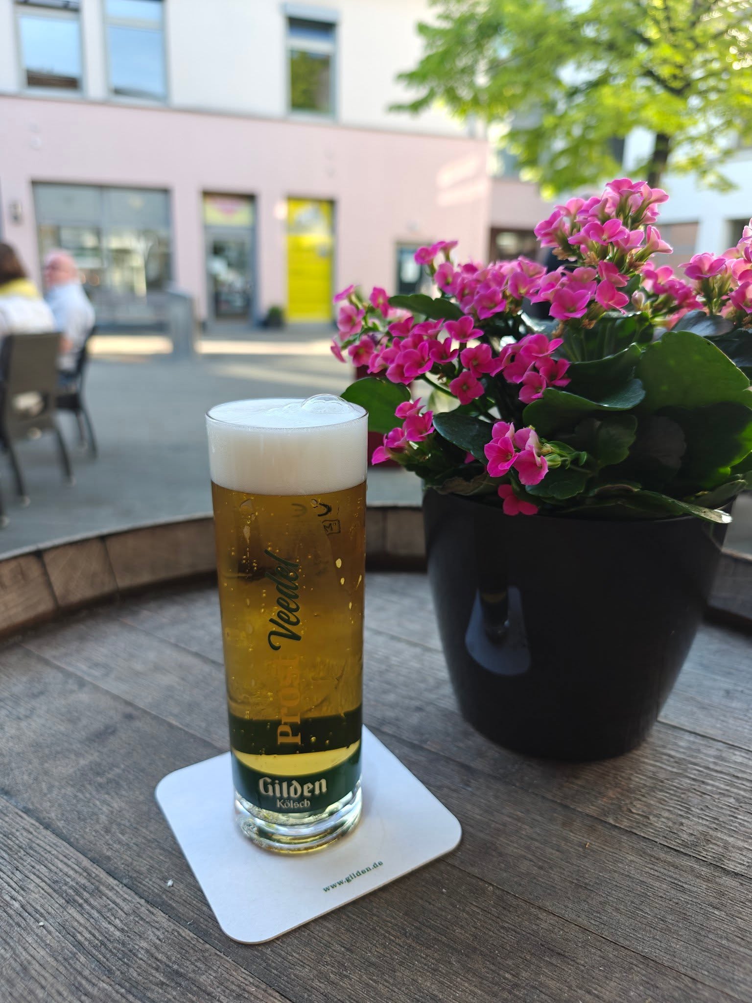 Veltins-Bierglas neben einem bepflanzten Topf auf der Terrasse.